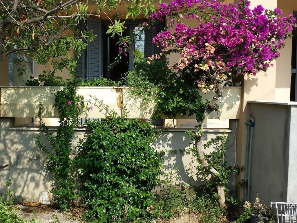 Zach'S House Villa Nea Roda Exterior photo